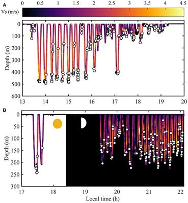 Diving Behavior and Fine-Scale Kinematics of Free-Ranging Risso's Dolphins Foraging in Shallow and Deep-Water Habitats